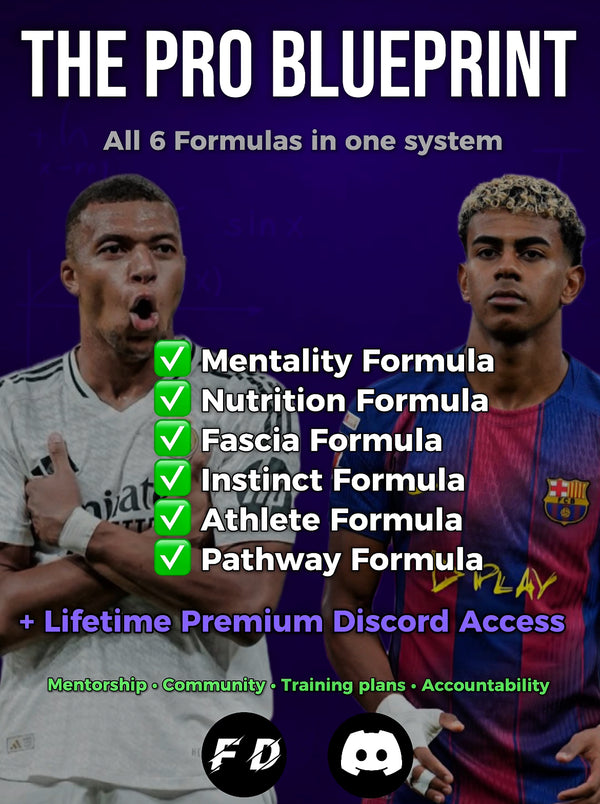 ALL-IN-ONE BUNDLE
