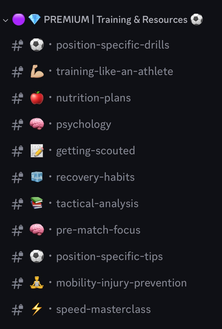 Premium Discord Access (Monthly)