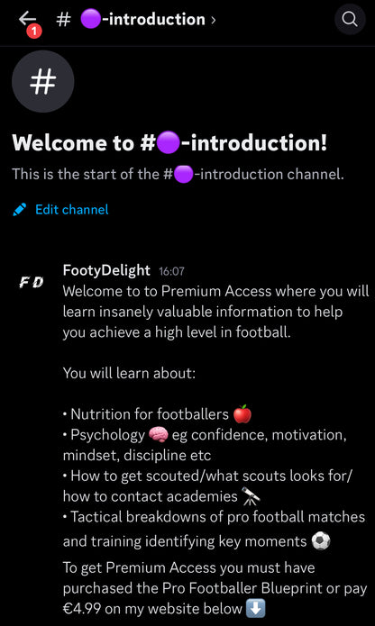 Premium discord access