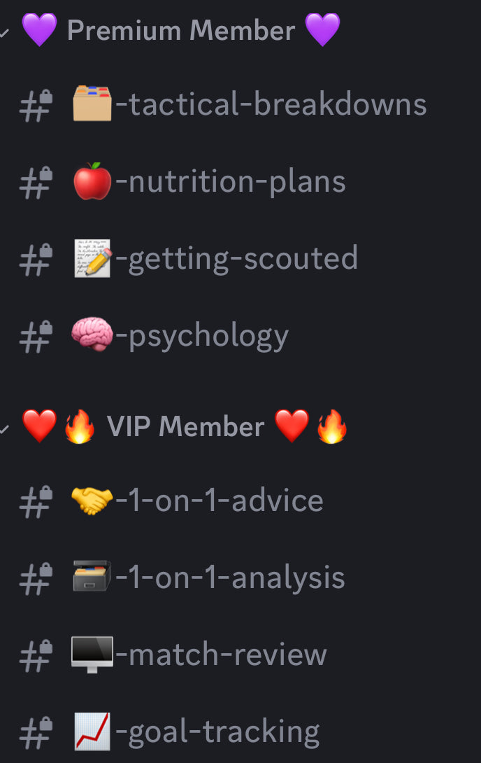 VIP discord access