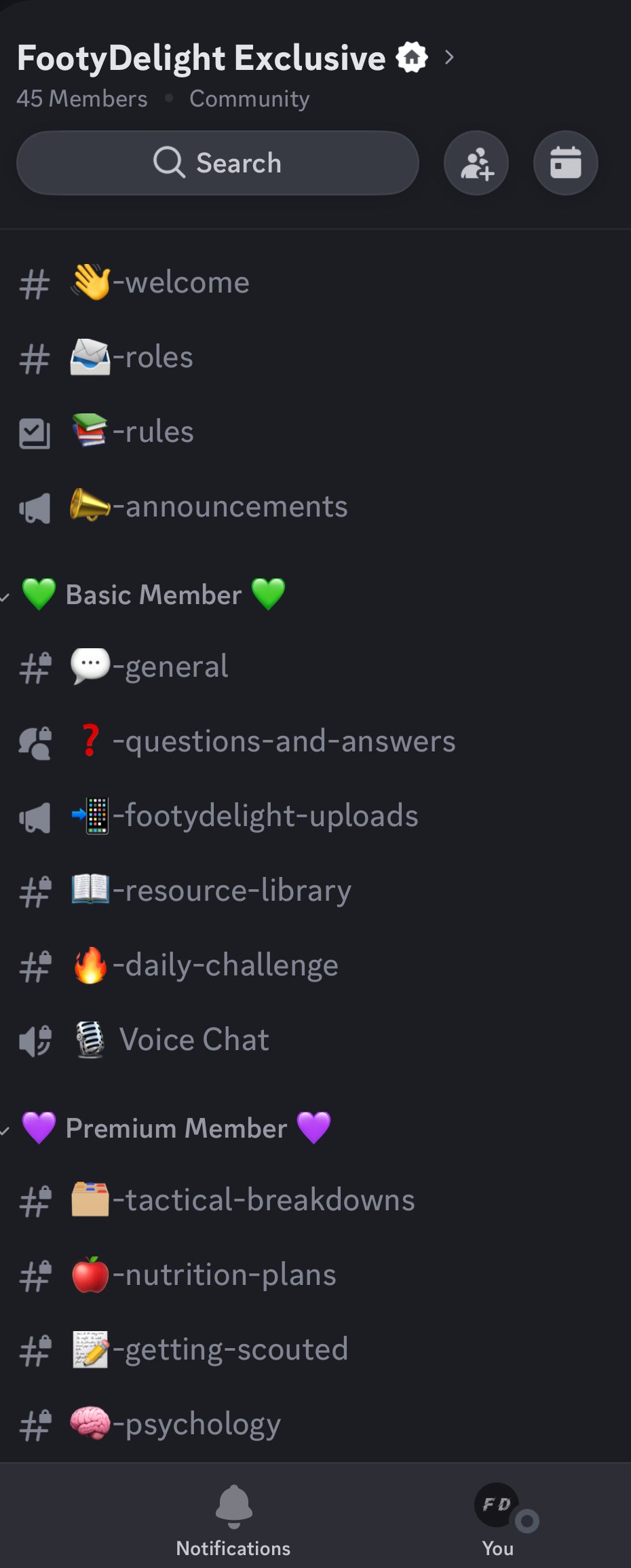 Premium discord access