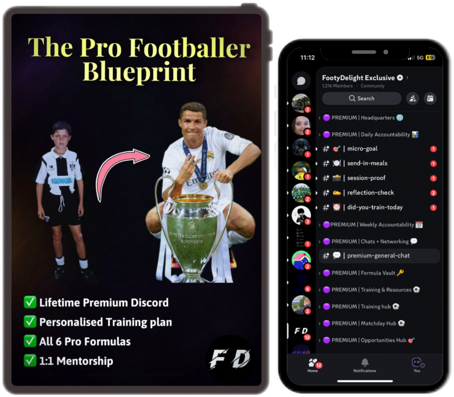The Pro Footballer Blueprint